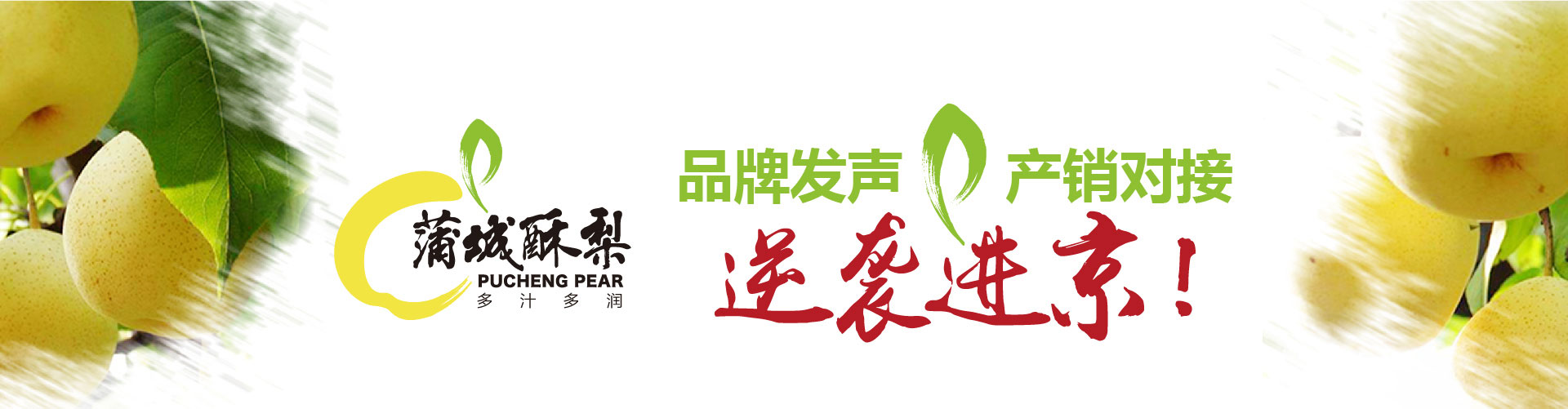 戰(zhàn)略賦能區(qū)域公用品牌，點(diǎn)亮區(qū)域經(jīng)濟(jì)