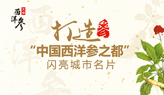 文登西洋參產(chǎn)業(yè)：打造“中國西洋參之都”閃亮城市名片！