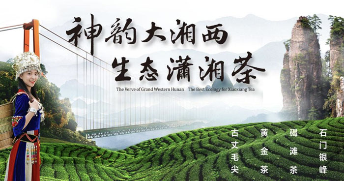 1553824901671476.jpg 1.jpg